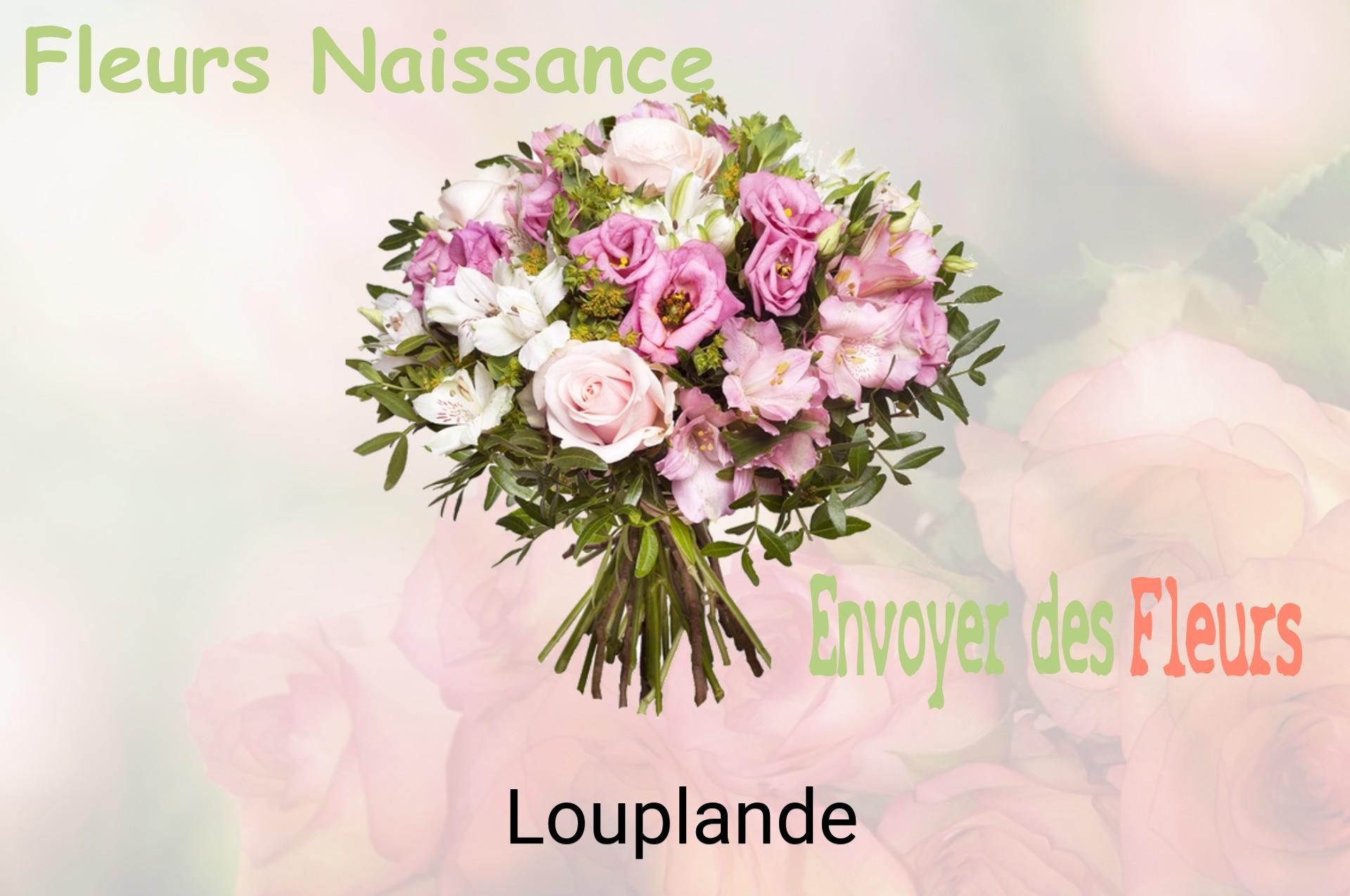Bouquet de fleurs de naissance livré à Louplande