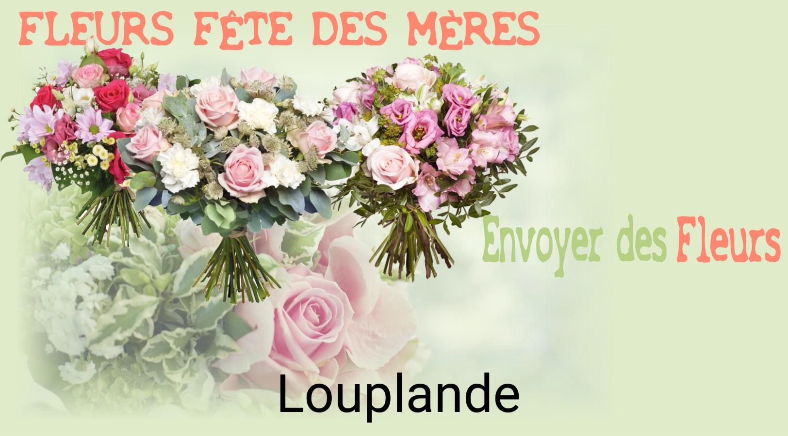 Bouquet de Fête des Mères livré à Louplande